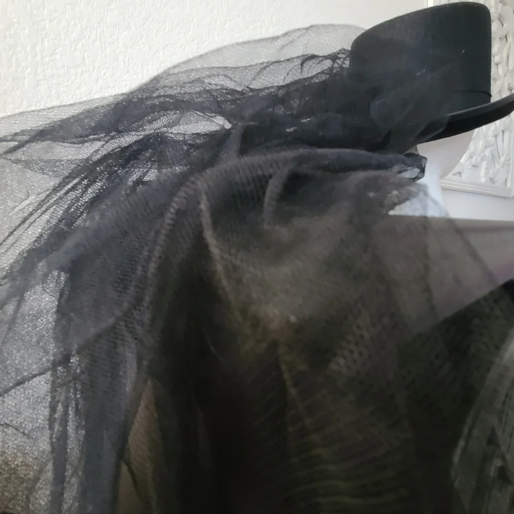 Steampunk Skeleton blk Top Hat W/ Long Veil Adult o/s